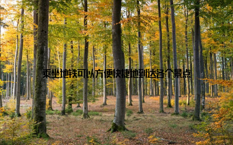 乘坐地铁可以方便快捷地到达各个景点