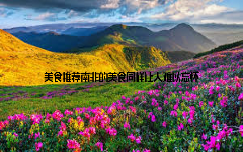 美食推荐南非的美食同样让人难以忘怀