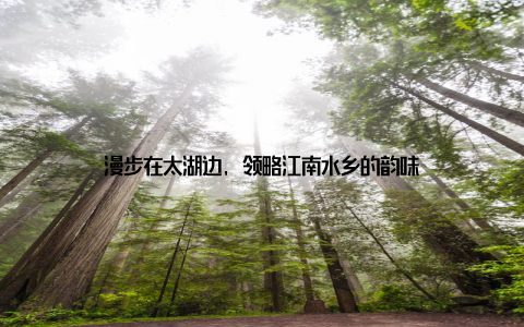 漫步在太湖边, 领略江南水乡的韵味