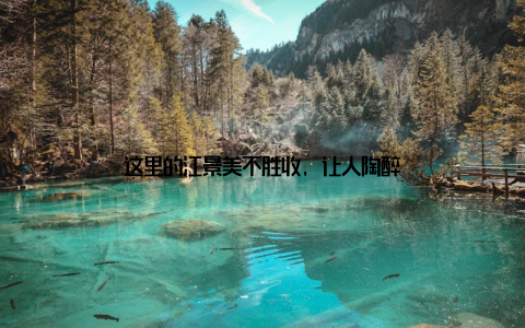 这里的江景美不胜收, 让人陶醉