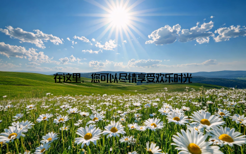 在这里, 您可以尽情享受欢乐时光