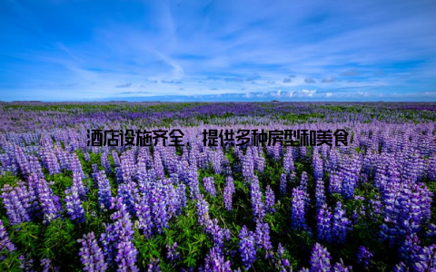 酒店设施齐全, 提供多种房型和美食