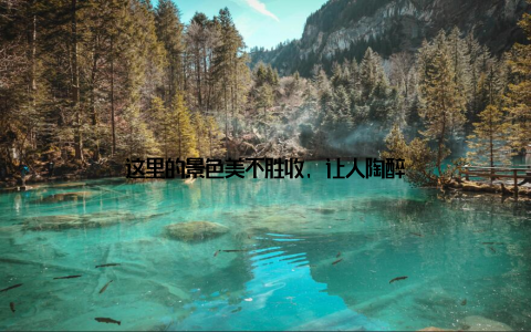 这里的景色美不胜收, 让人陶醉