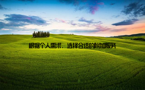 根据个人需求, 选择合适的附加服务