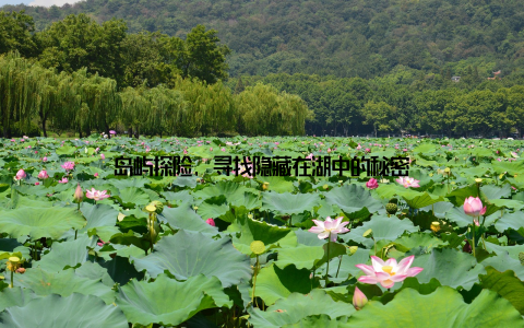 岛屿探险, 寻找隐藏在湖中的秘密