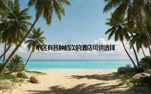 市区有各种档次的酒店可供选择