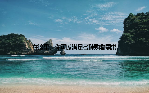 在这里, 你可以满足各种购物需求