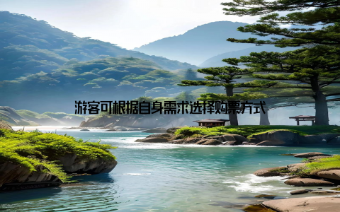 游客可根据自身需求选择购票方式