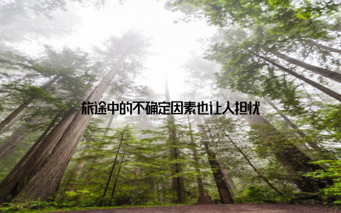 旅途中的不确定因素也让人担忧