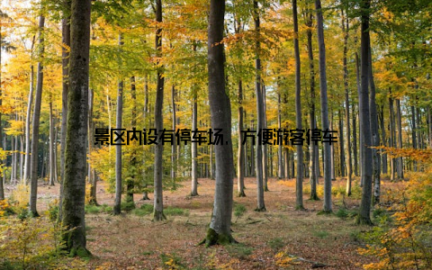 景区内设有停车场, 方便游客停车