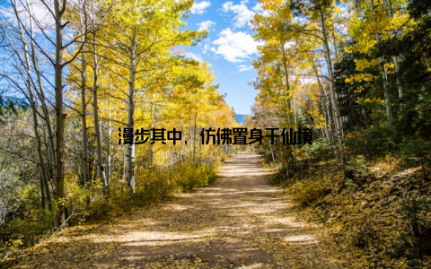 漫步其中, 仿佛置身于仙境