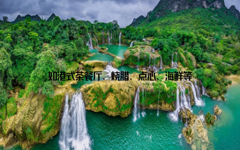 如港式茶餐厅、烧腊、点心、海鲜等