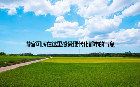 游客可以在这里感受现代化都市的气息