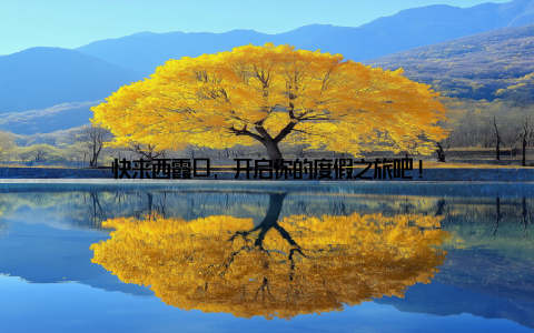快来西霞口, 开启你的度假之旅吧!