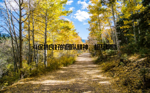 4保持良好的团队精神, 相互帮助