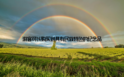 游客可以购买到具有民族特色的纪念品