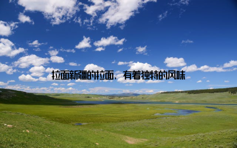 拉面新疆的拉面, 有着独特的风味