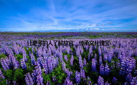 让更多的人了解故宫, 传承文化瑰宝