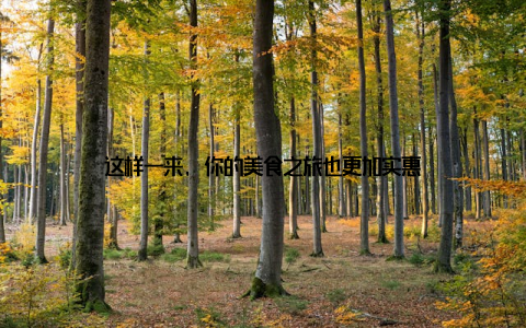 这样一来, 你的美食之旅也更加实惠