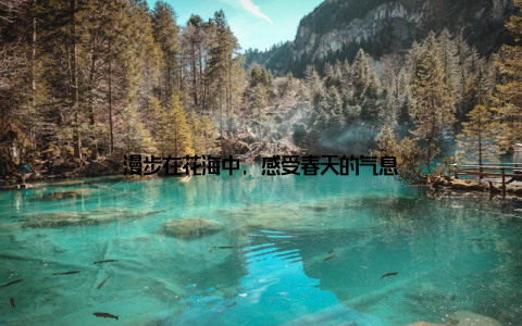 漫步在花海中, 感受春天的气息