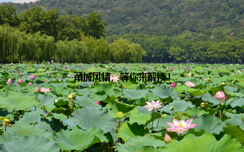 甬城风情, 等你来解锁!