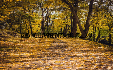 这些小吃让我领略到了安徽的风土人情