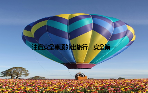 注意安全事项外出旅行, 安全第一