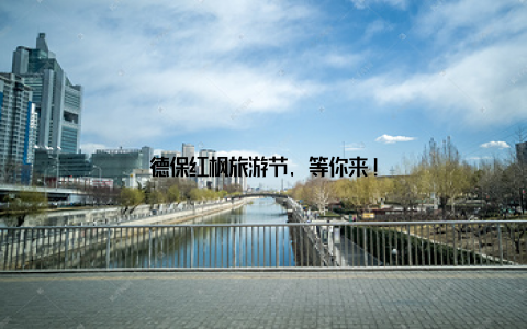 德保红枫旅游节, 等你来!