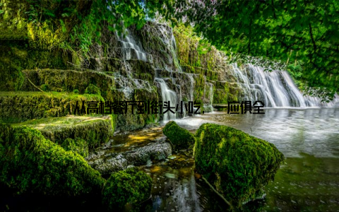 从高档餐厅到街头小吃, 一应俱全